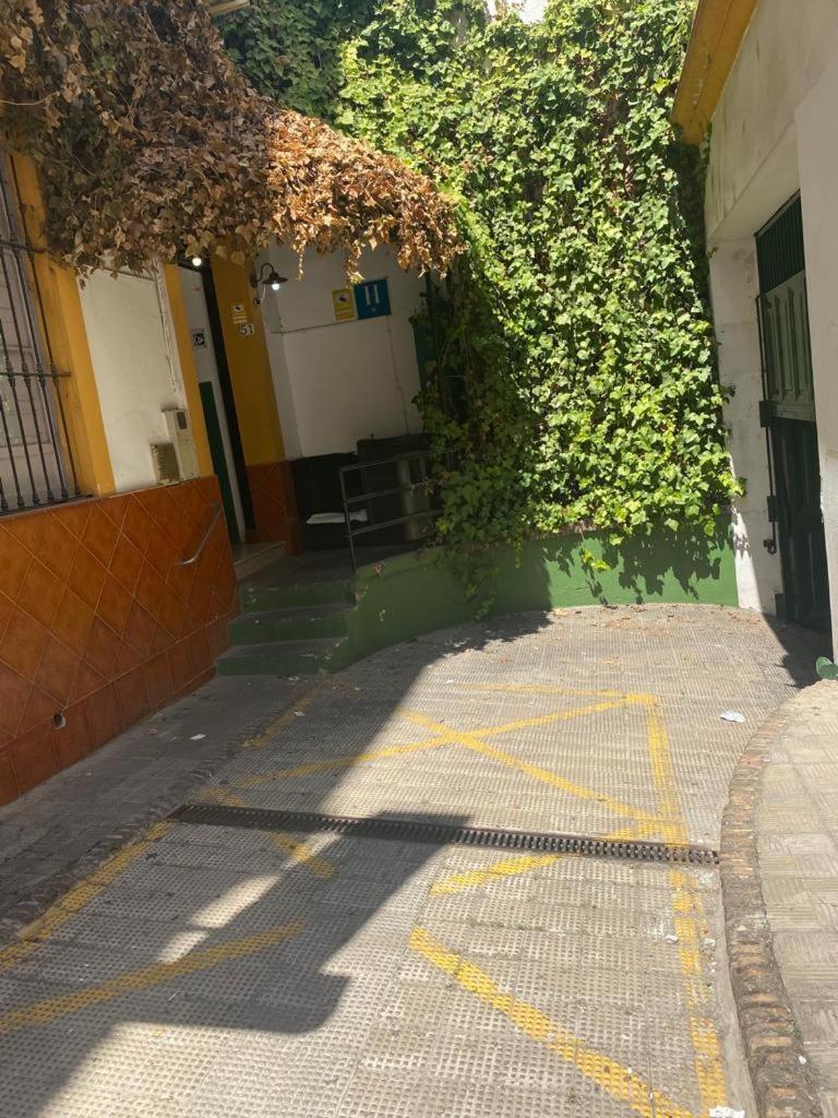 Rentalsevilla San Clemente Exterior foto