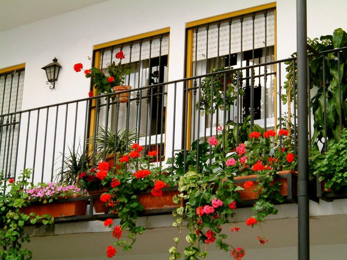 Rentalsevilla San Clemente Exterior foto
